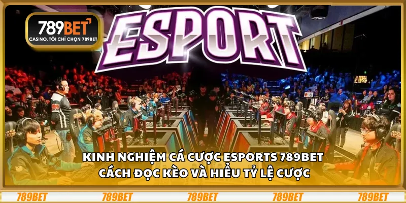 Kinh nghiệm cược bóng chuyền New88 – Bí quyết chơi hiệu quả và an toàn